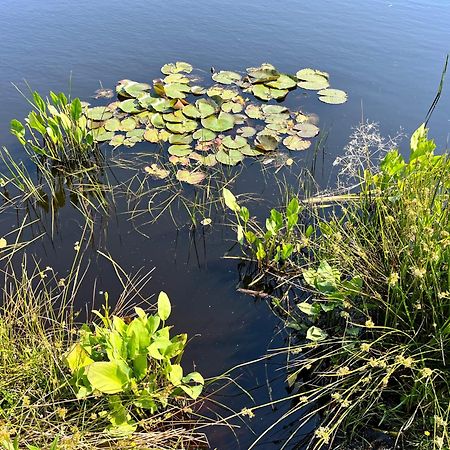 Landzicht Natuur Rust En Ruimte 奥斯特沃尔德 外观 照片