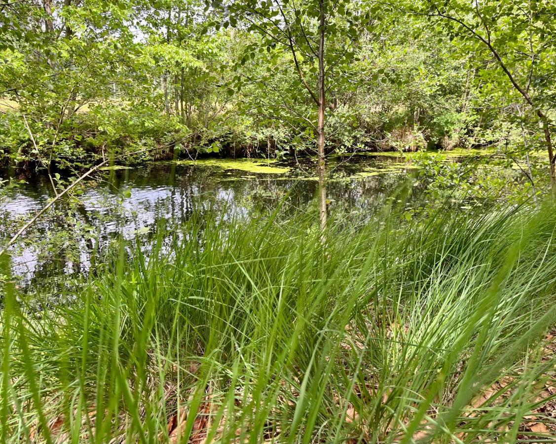 Landzicht Natuur Rust En Ruimte 奥斯特沃尔德 外观 照片