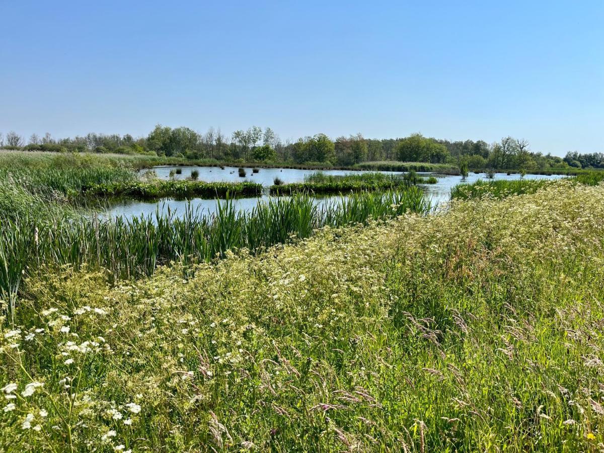 Landzicht Natuur Rust En Ruimte 奥斯特沃尔德 外观 照片