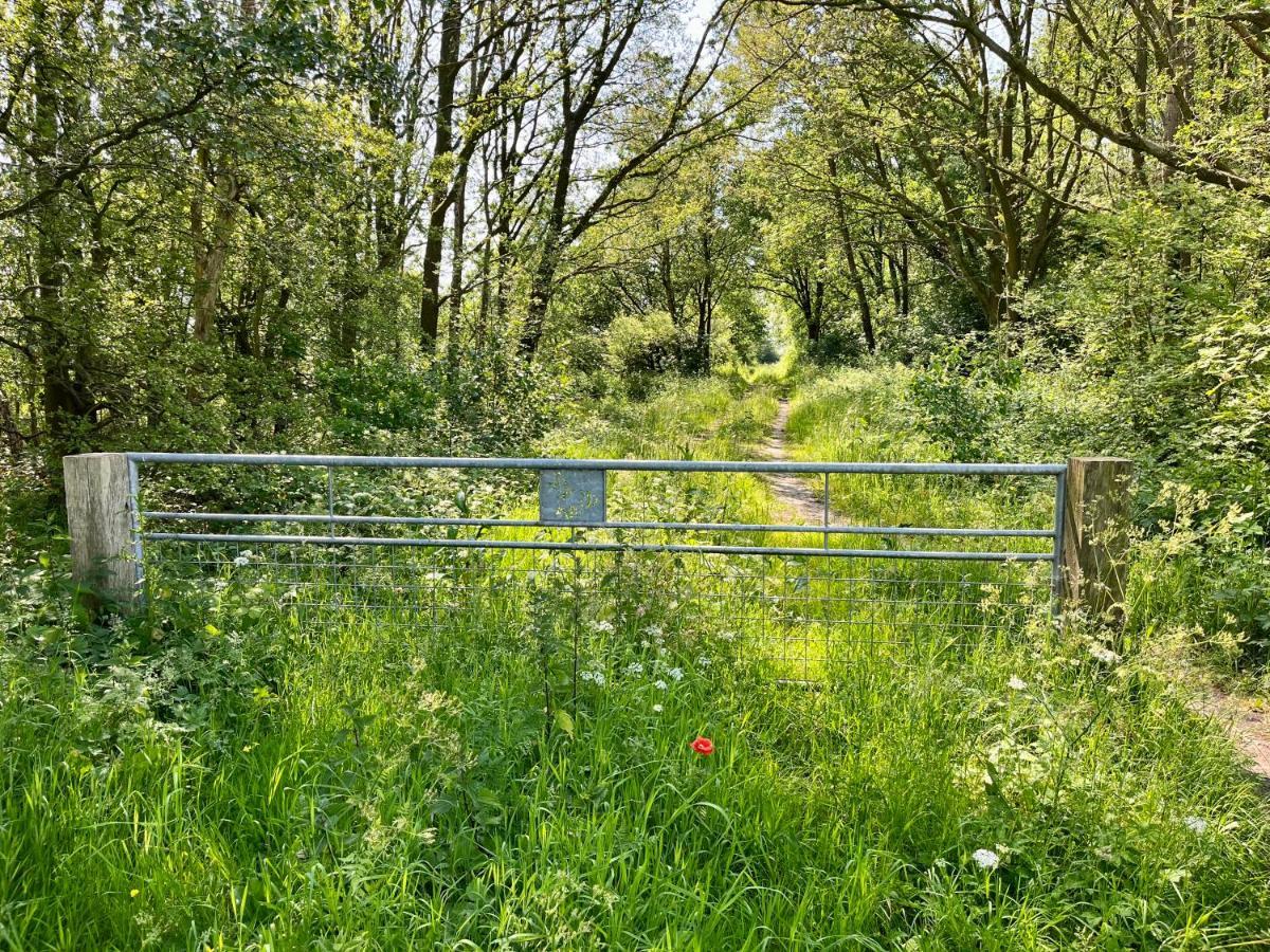 Landzicht Natuur Rust En Ruimte 奥斯特沃尔德 外观 照片