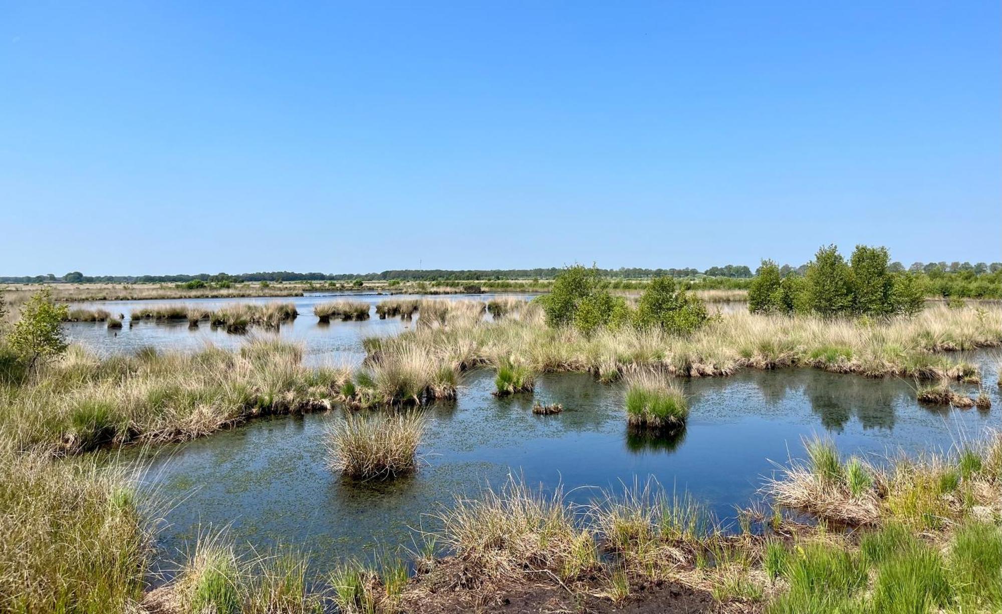 Landzicht Natuur Rust En Ruimte 奥斯特沃尔德 外观 照片