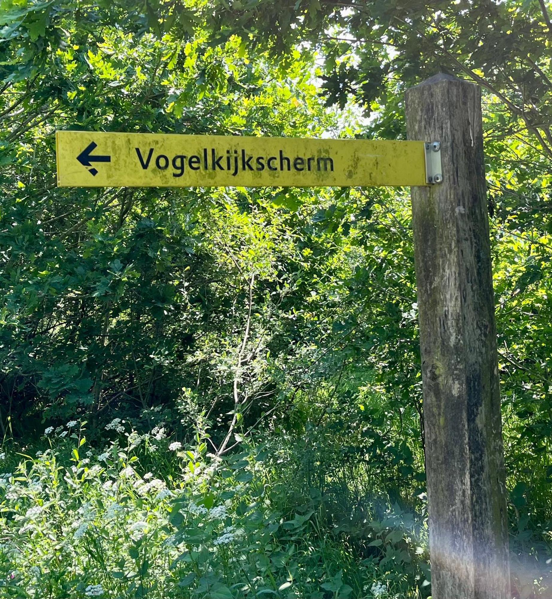 Landzicht Natuur Rust En Ruimte 奥斯特沃尔德 外观 照片